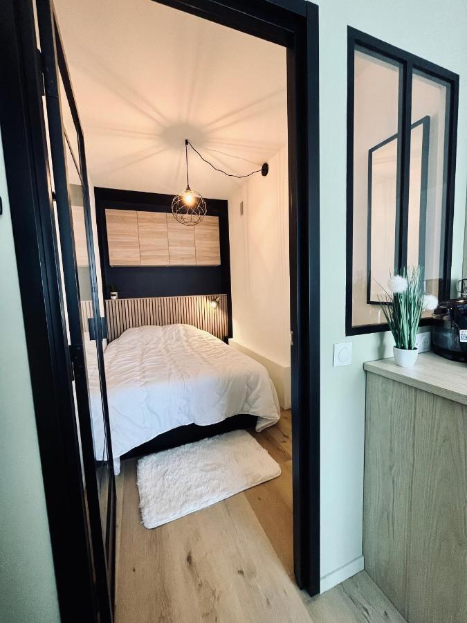 Strasbourg, Appartement Cosy Au Bord De L Eau Екстер'єр фото