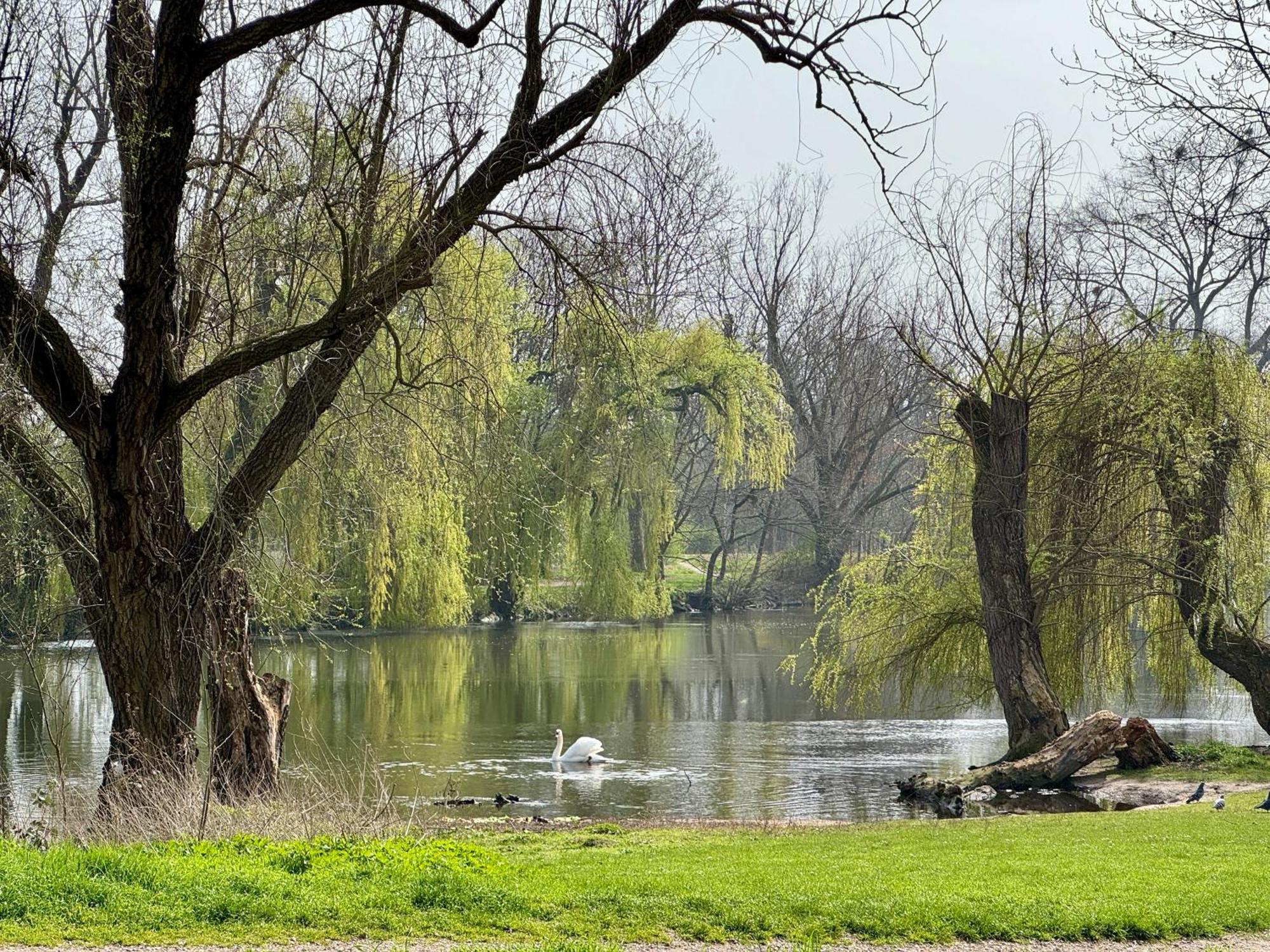 Strasbourg, Appartement Cosy Au Bord De L Eau Екстер'єр фото